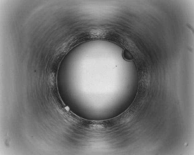 X0000100910649200807011244