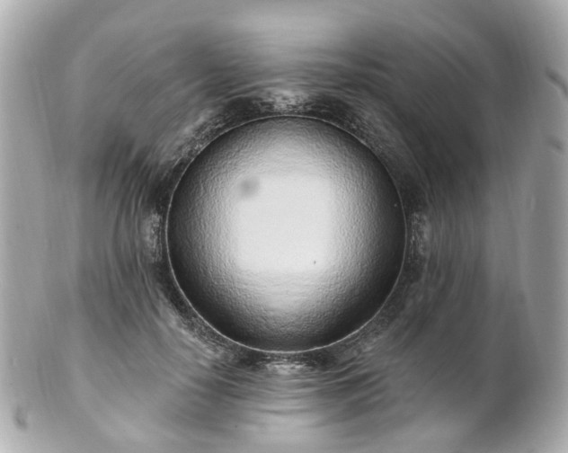 X0000100910650200807011244