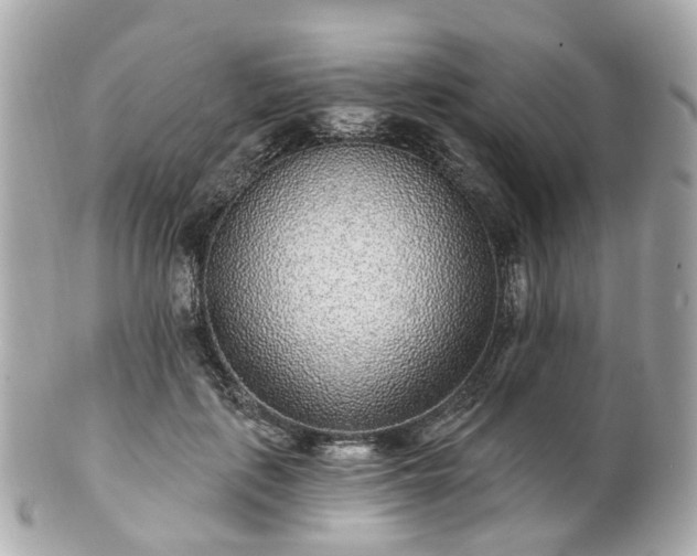 X0000100910651200807011244