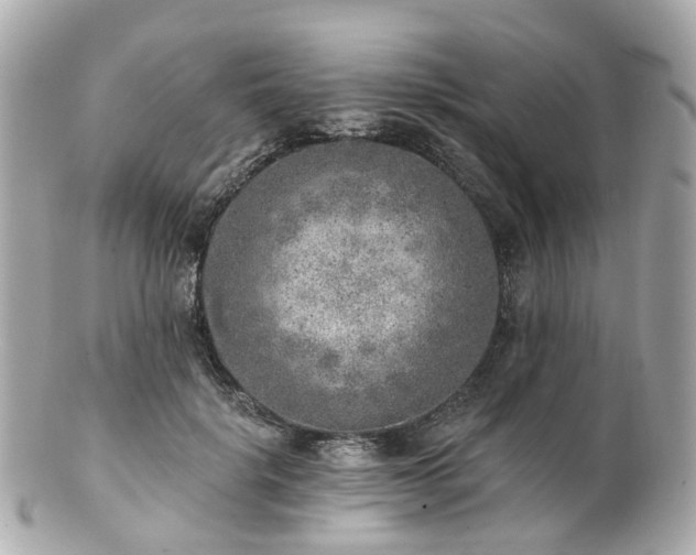 X0000100910652200807011245