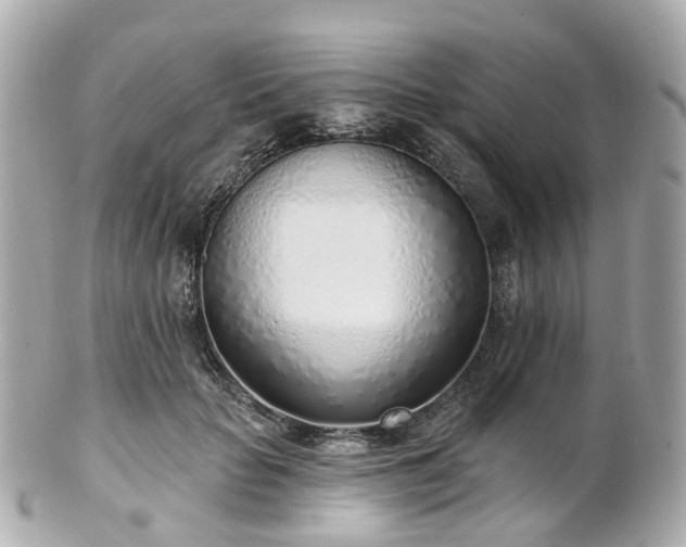 X0000100910653200807011245