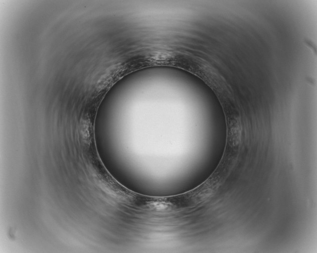 X0000100910654200807011245