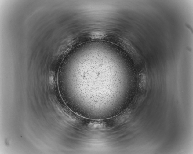 X0000100910655200807011245