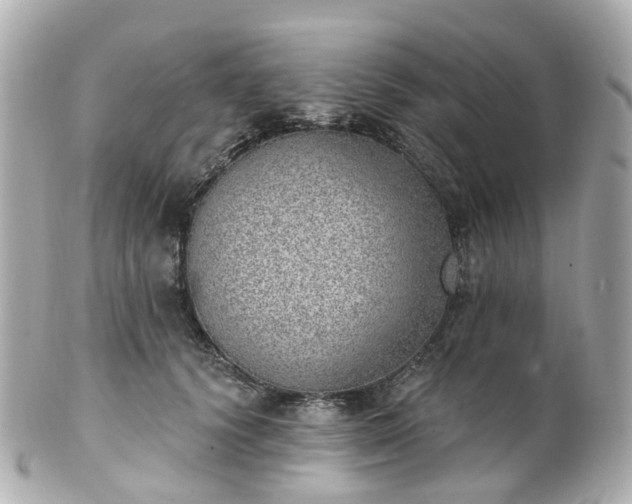 X0000100910656200807011245