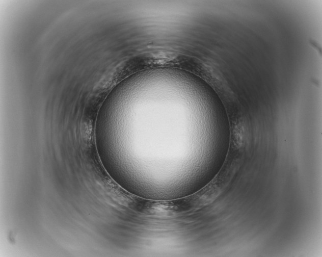 X0000100910657200807011245