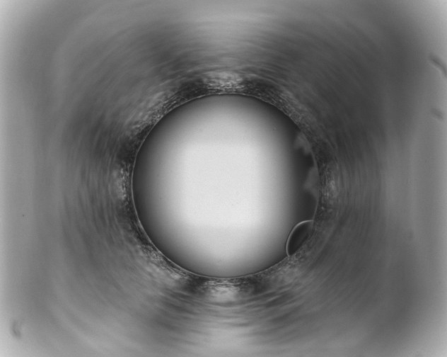 X0000100910658200807011245