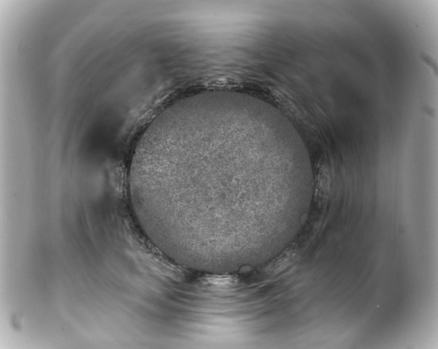 X0000100910659200807011245
