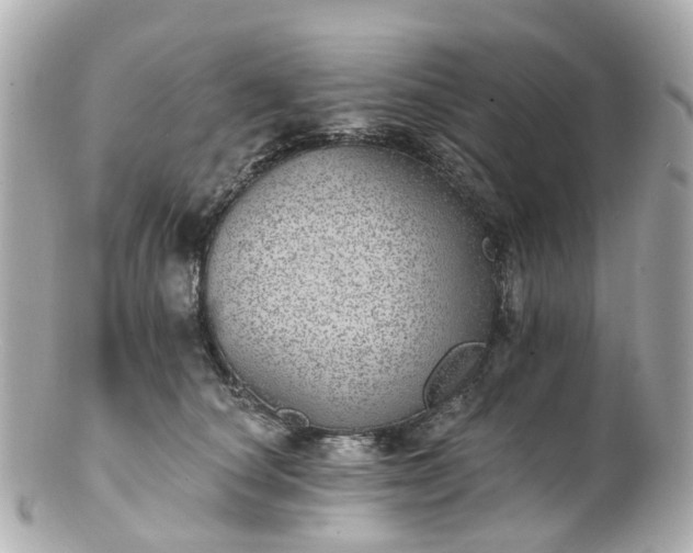 X0000100910660200807011245