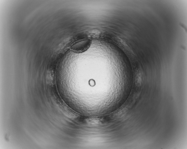 X0000100910661200807011245