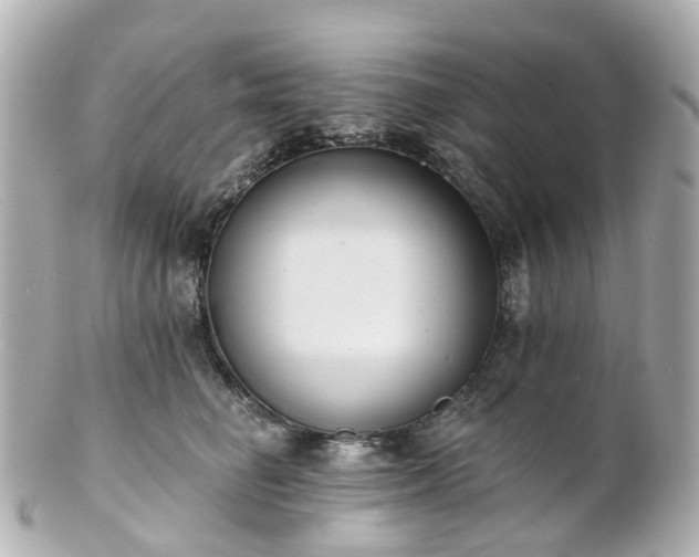 X0000100910662200807011245