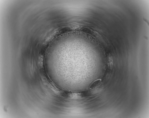 X0000100910664200807011245