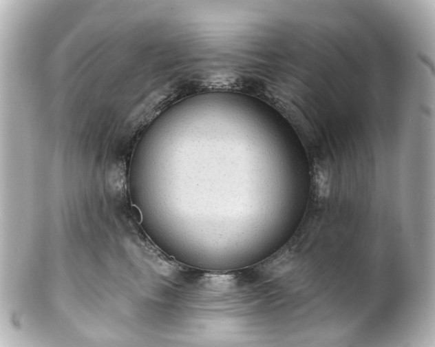 X0000100910665200807011245