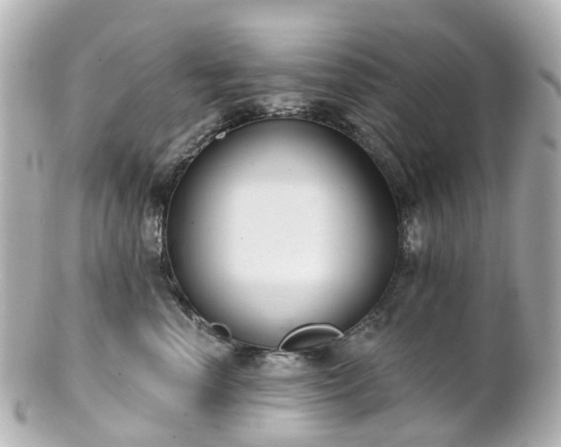X0000100910666200807011245