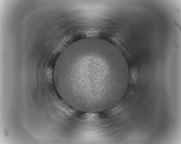 X0000100910667200807011245