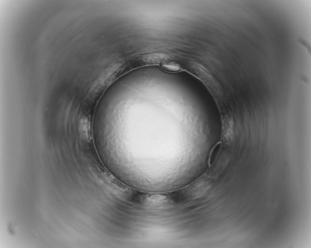 X0000100910669200807011245