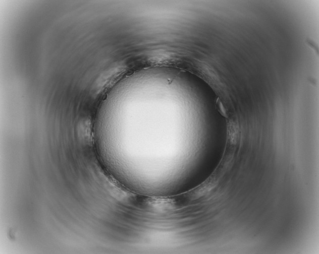 X0000100910670200807011245