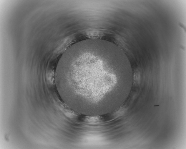 X0000100910671200807011245