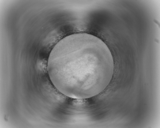X0000100910672200807011245