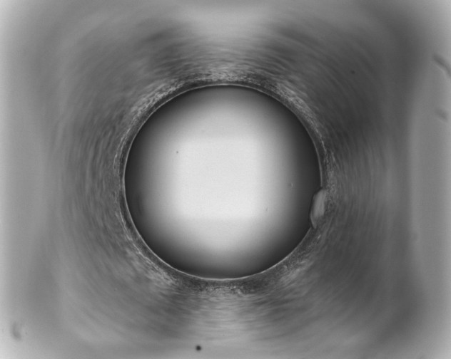 X0000100910673200807011244