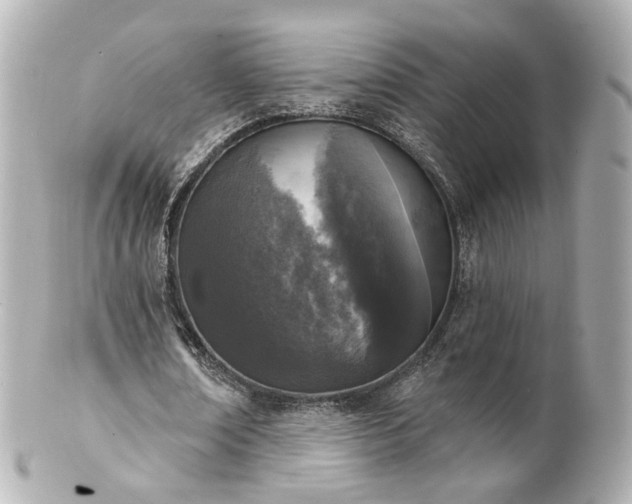 X0000100910674200807011244