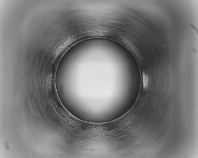 X0000100910675200807011244