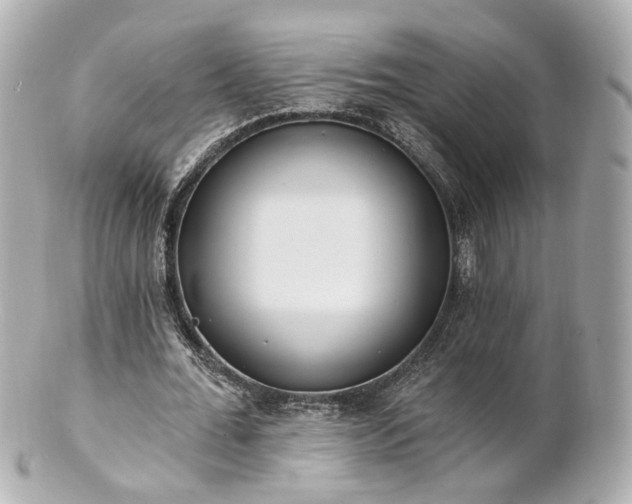 X0000100910676200807011244
