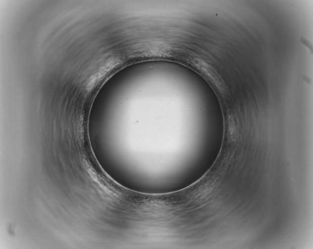 X0000100910677200807011244