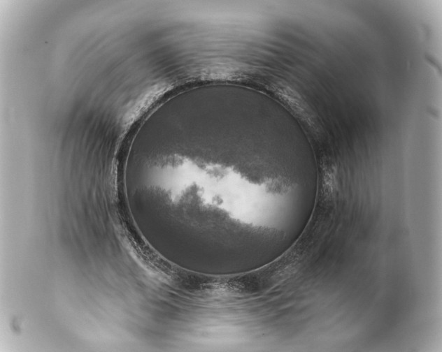 X0000100910678200807011244