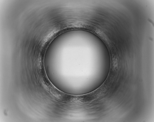 X0000100910680200807011244