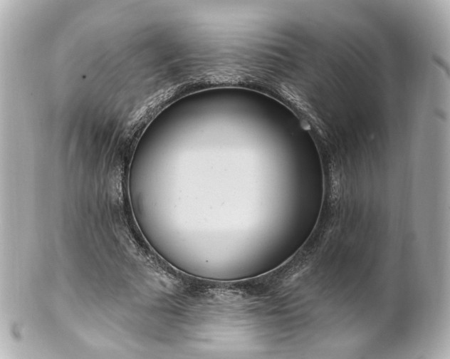 X0000100910681200807011244