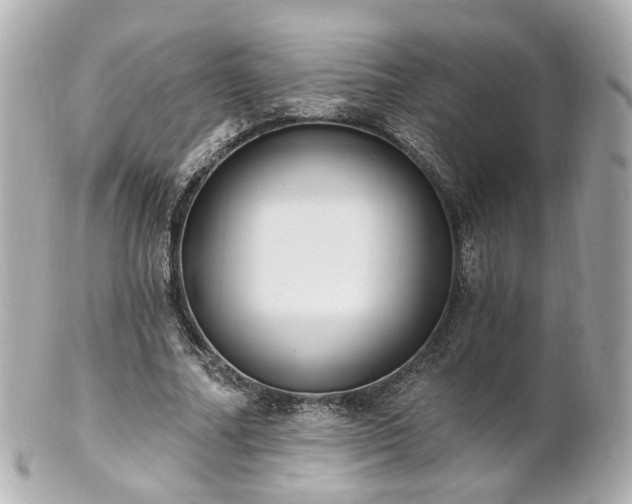 X0000100910682200807011244