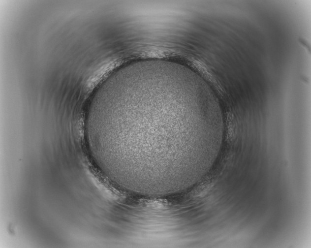 X0000100910683200807011244