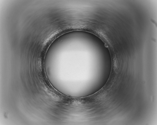X0000100910684200807011244