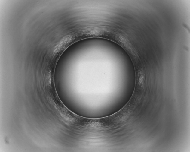 X0000100910685200807011244