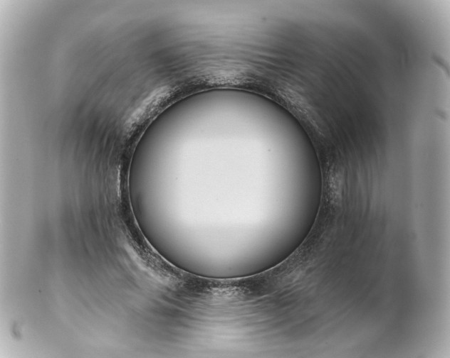 X0000100910686200807011244