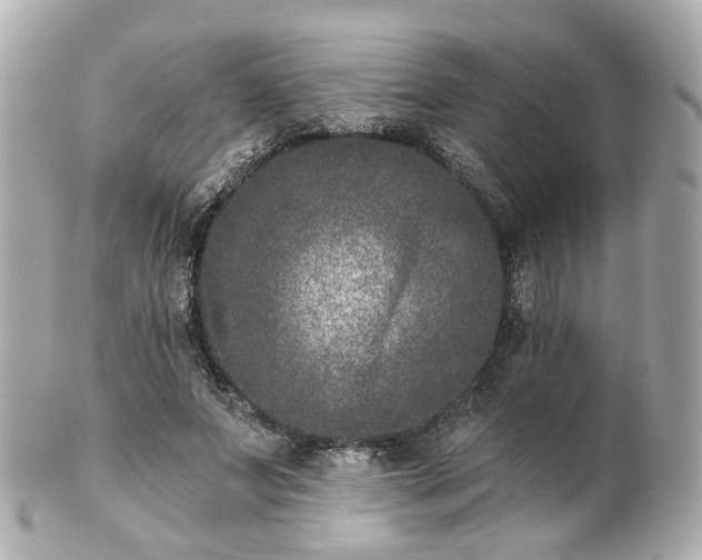 X0000100910687200807011244