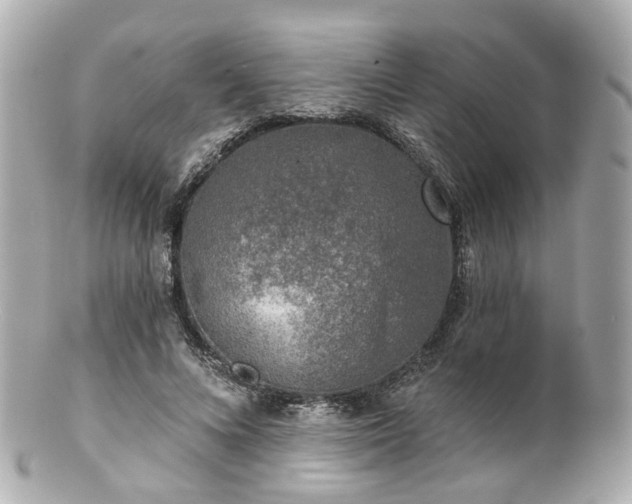 X0000100910688200807011244