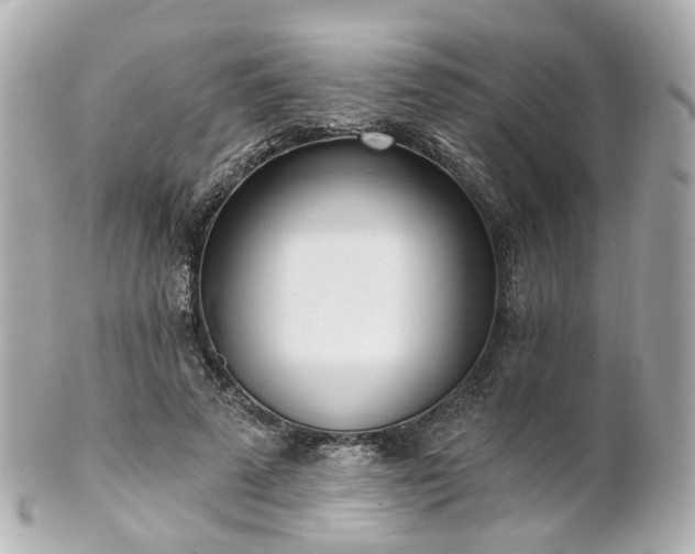 X0000100910689200807011244