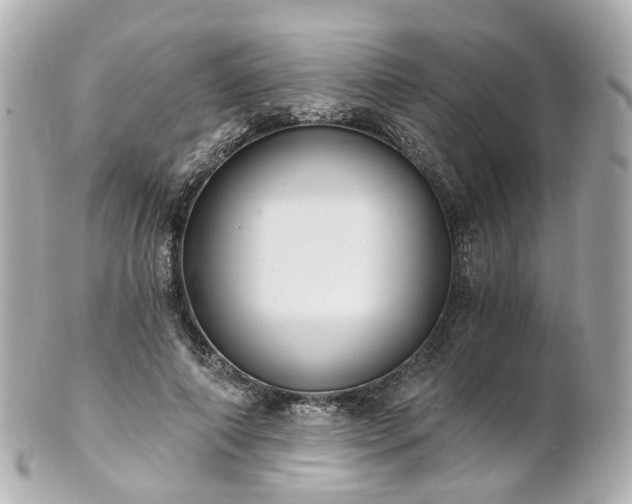 X0000100910690200807011244