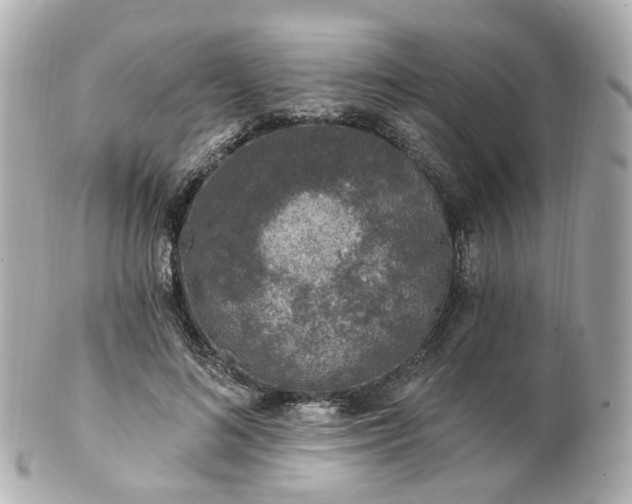 X0000100910692200807011244