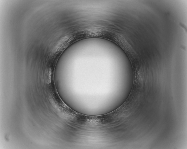 X0000100910694200807011244