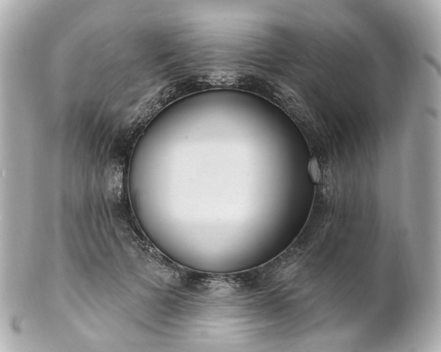 X0000100910697200807011244