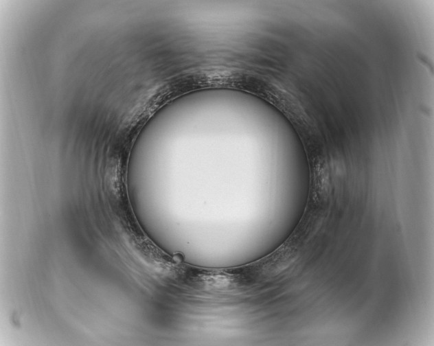 X0000100910698200807011244