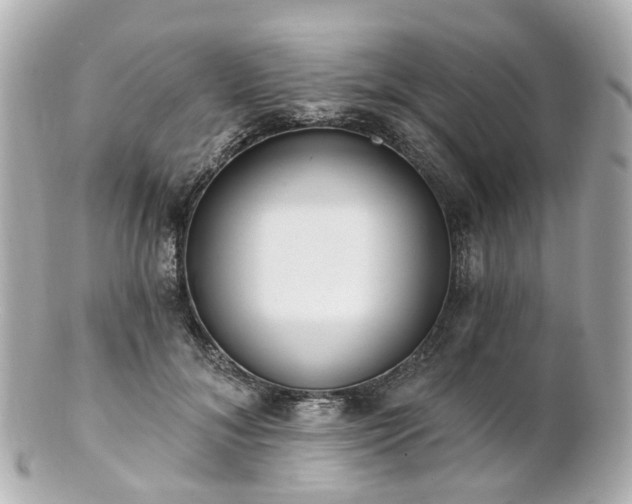 X0000100910700200807011244