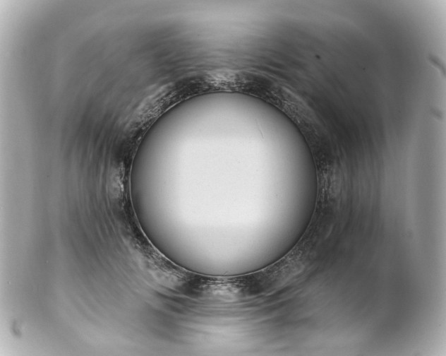 X0000100910702200807011244