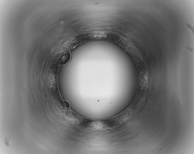 X0000100910704200807011244