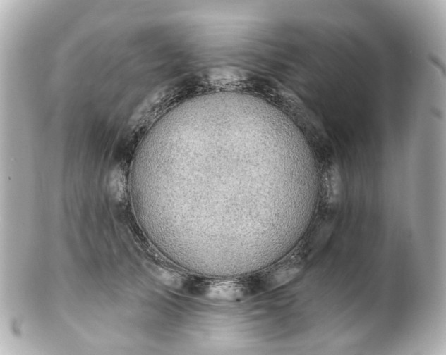 X0000100910705200807011244