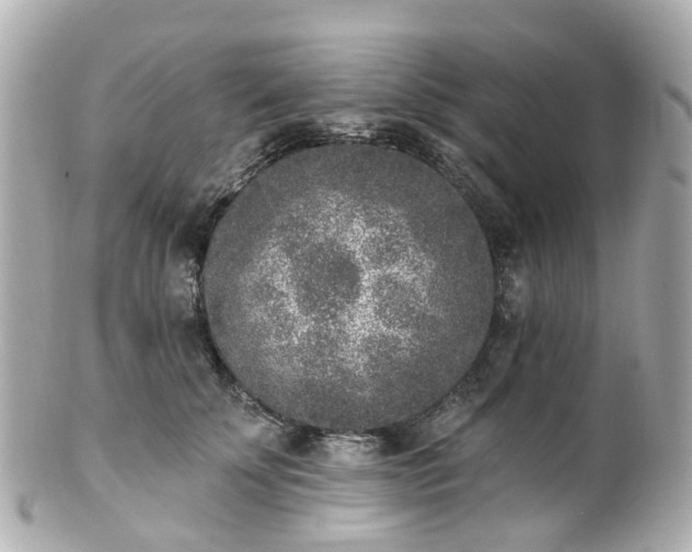 X0000100910707200807011244