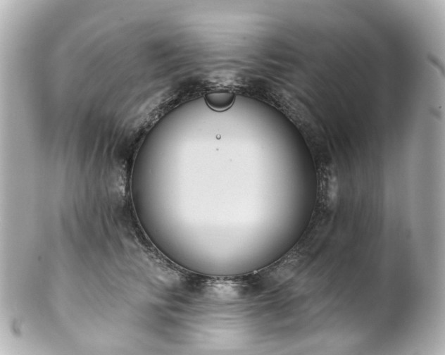 X0000100910710200807011244