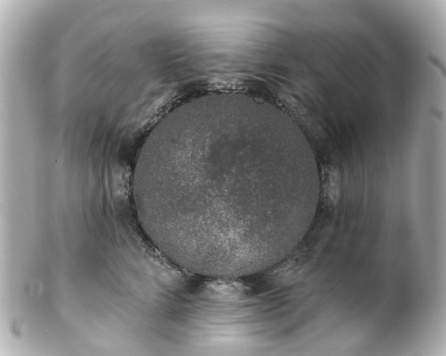 X0000100910712200807011244